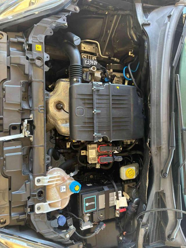 FIAT Punto Evo 1.2 5 porte S&S UNICO PROPRIETARIO