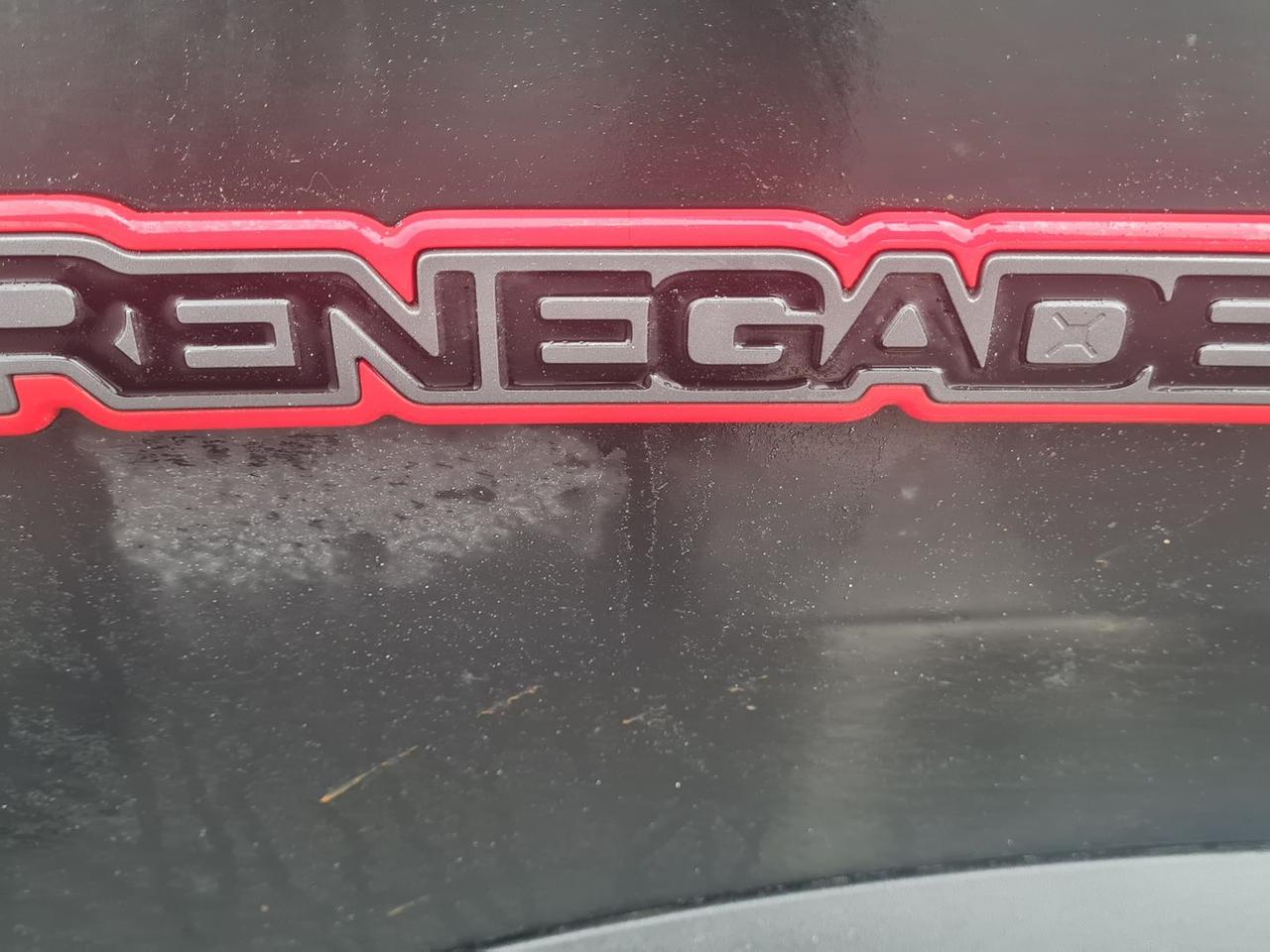 Jeep Renegade 2.0 Multijet Trailhawk #8044