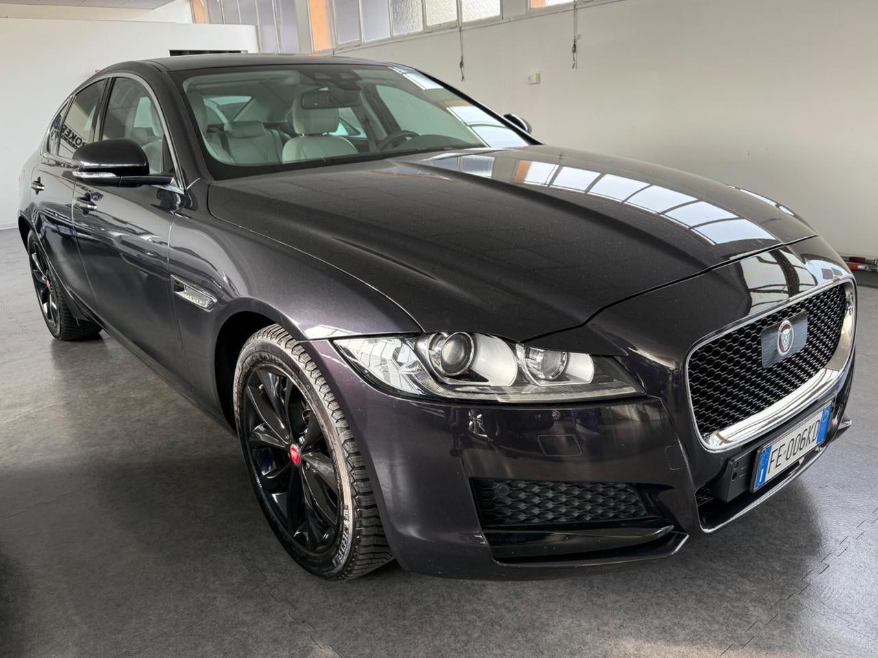 Jaguar XF 2.0 D 180 CV Portfolio KM CERTIFICATI JAGUAR