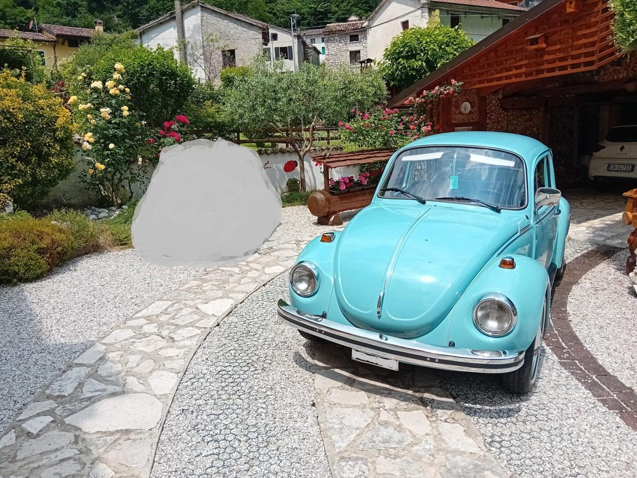 VOLKSWAGEN MAGGIOLONE
