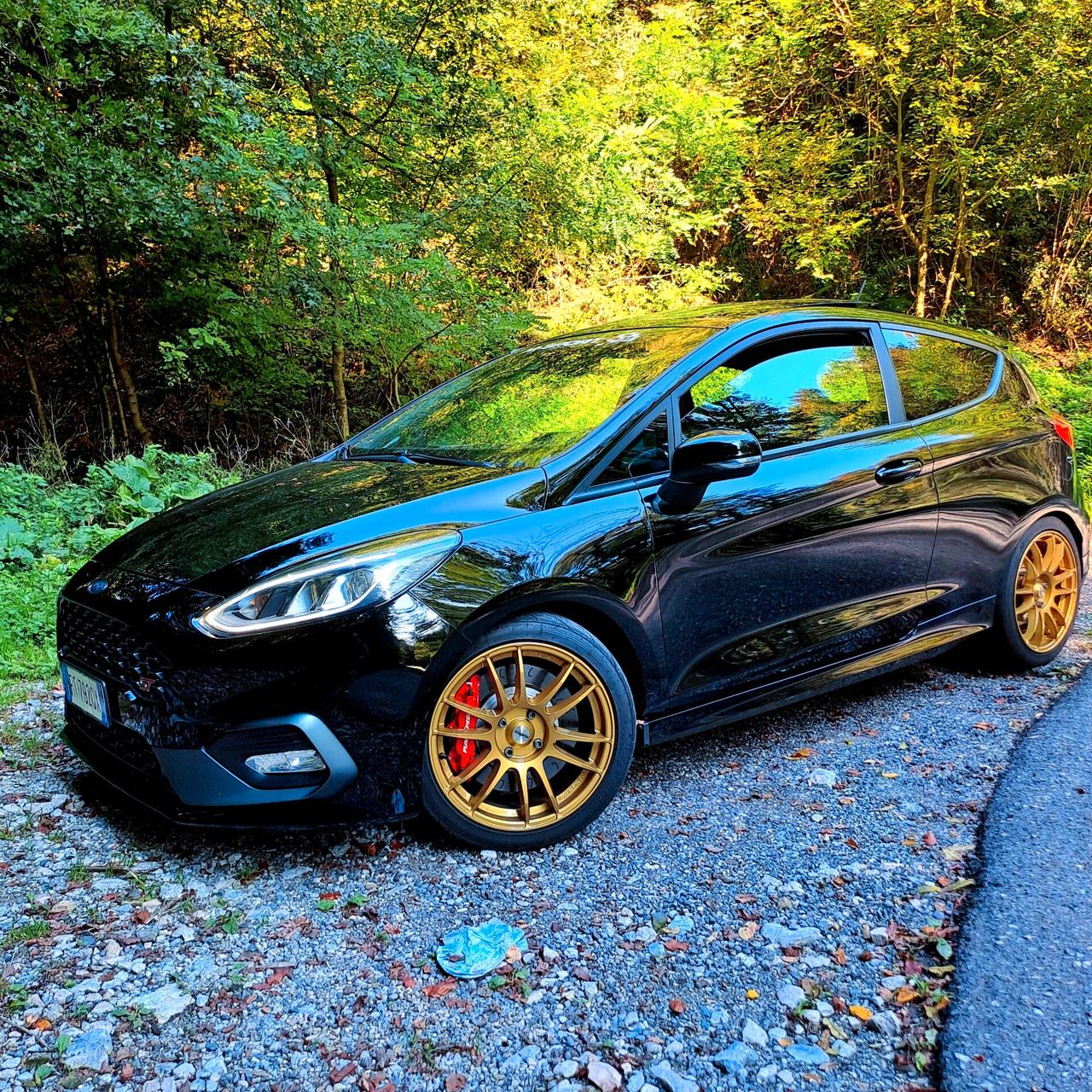 FIESTA ST200cv Performance - Tetto apribile