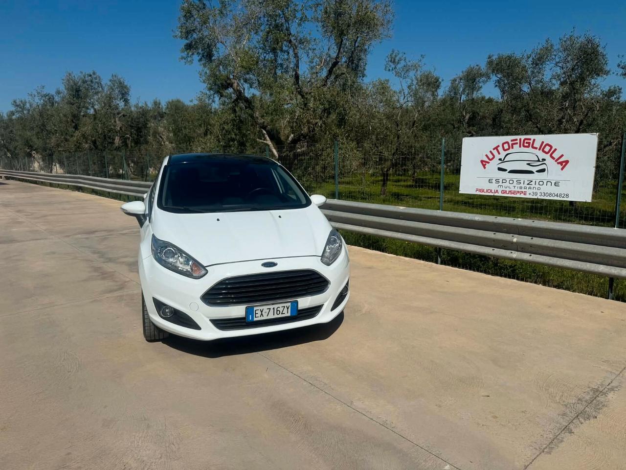 Ford Fiesta 1.5 TDCi 75CV 5 porte Titanium 2014
