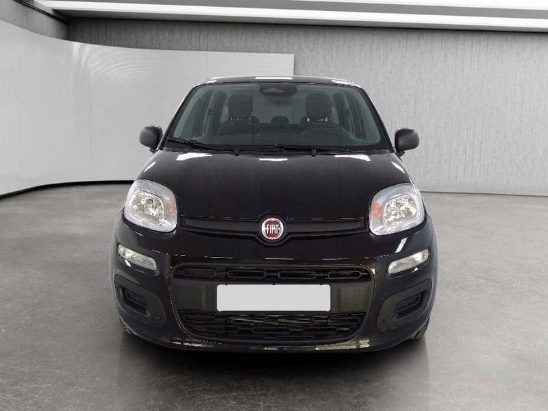 FIAT Pandina 1.0 firefly hybrid Icon s&s 70cv 5p.ti