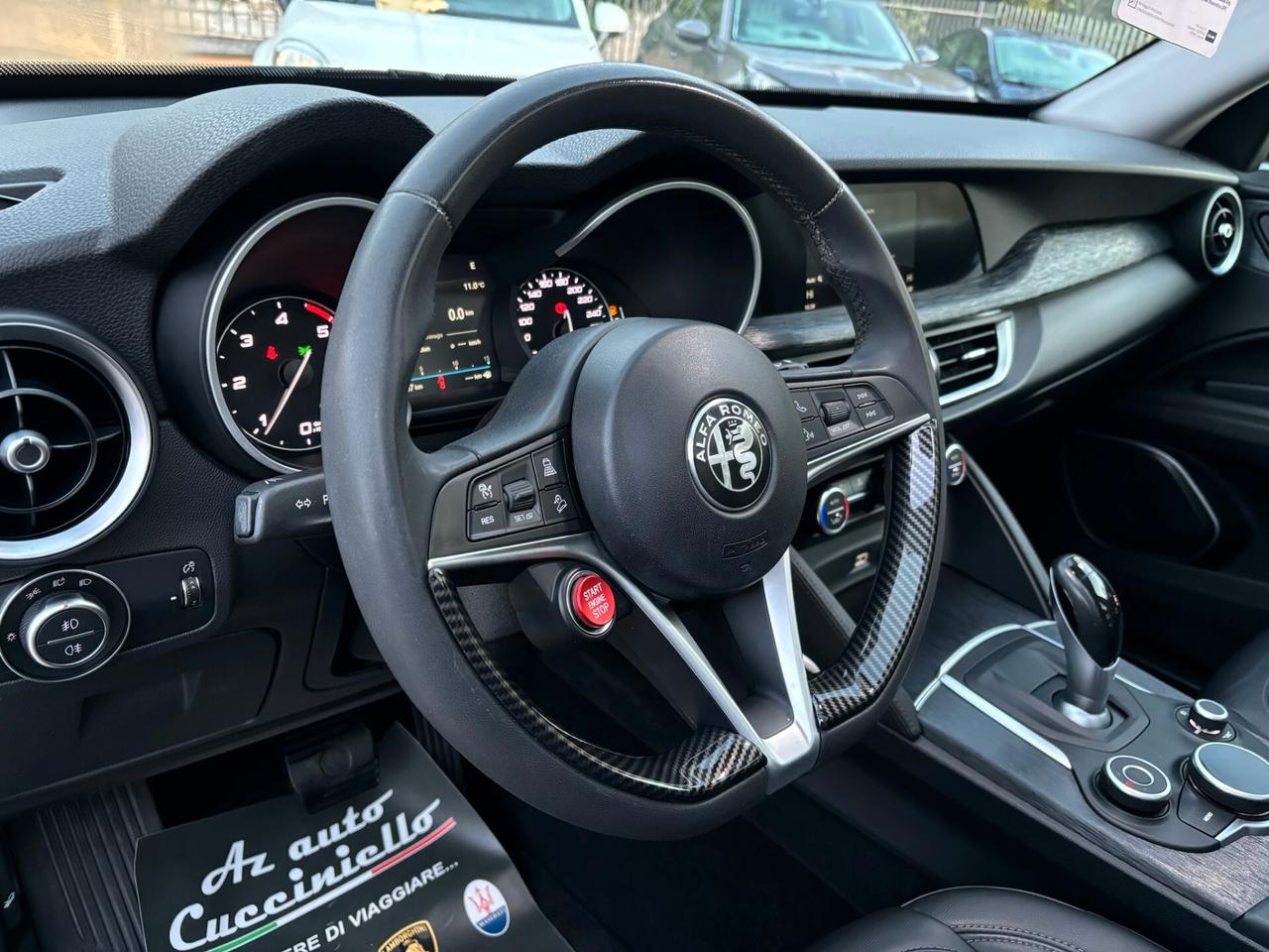 Alfa Romeo Stelvio 2.2 Turbodiesel 160 CV RWD FULL TETTO- PELLE - AT8