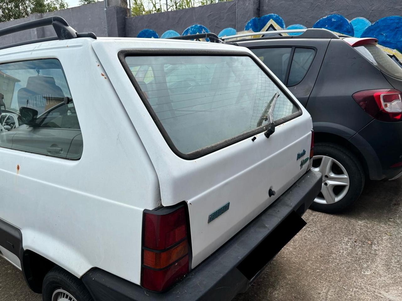 Fiat Panda 900 i.e. cat Young
