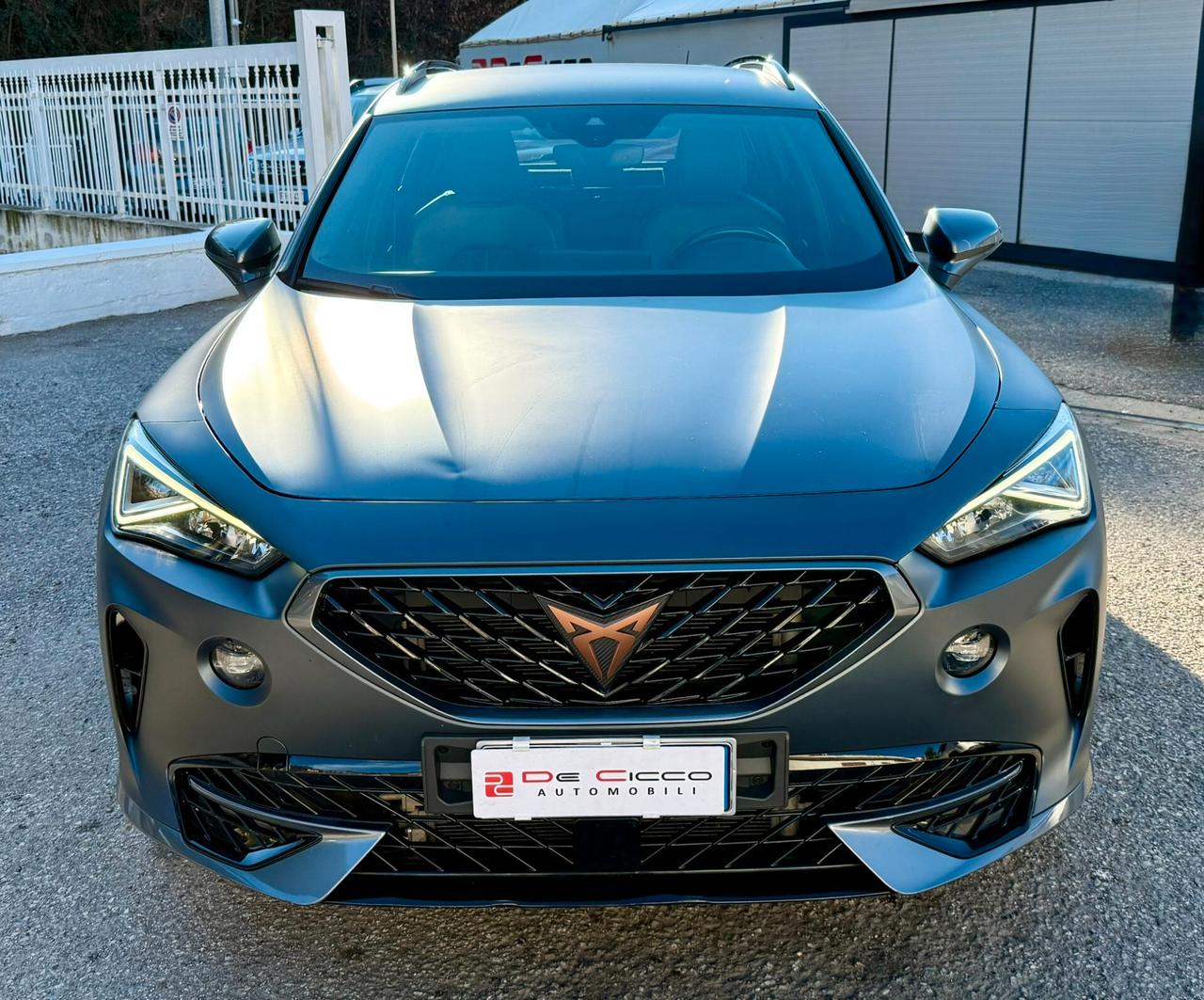 Cupra Formentor 2.0 TDI 4Drive DSG