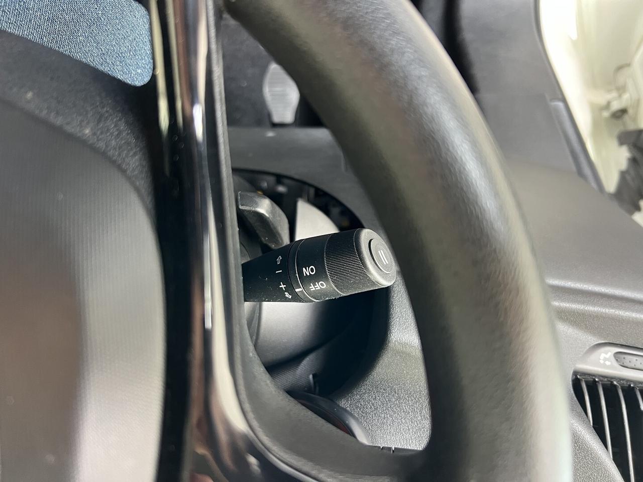 FIAT DOBLO' MAXI 1.6 MJT N1 IVA COMPRESA - 2020