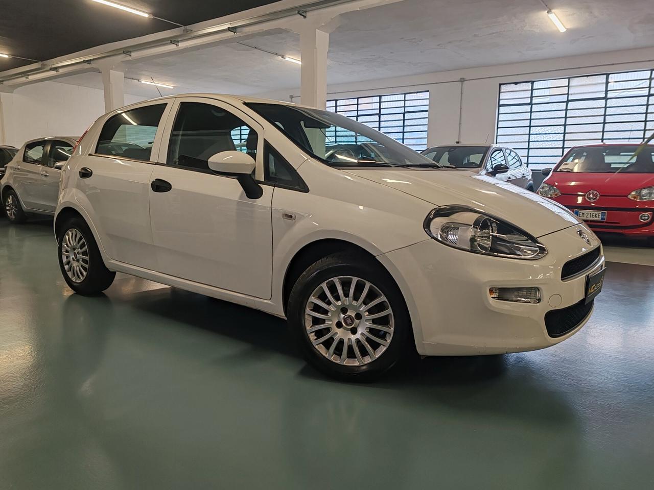 Fiat Punto 1.2 8V 5 porte Street