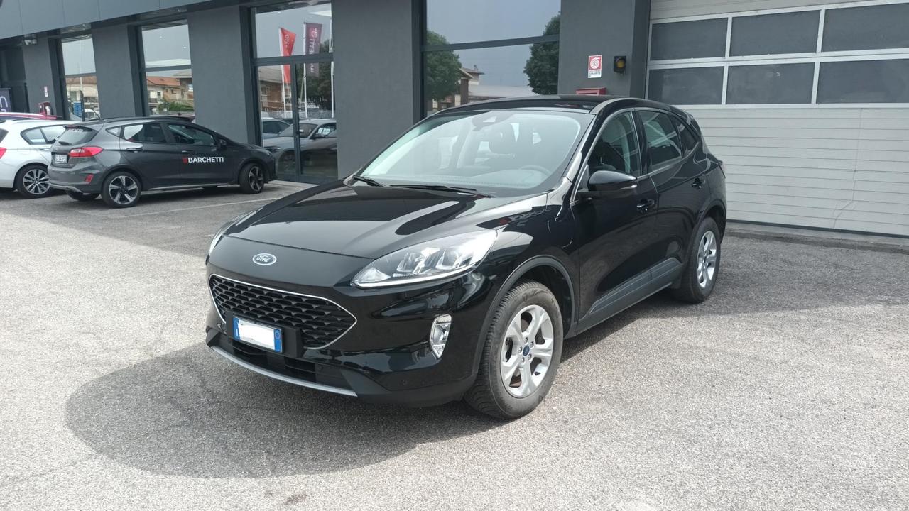 FORD Kuga 3ª serie - Kuga 2.5 Plug In Hybrid 225 CV CVT 2WD Titanium Business
