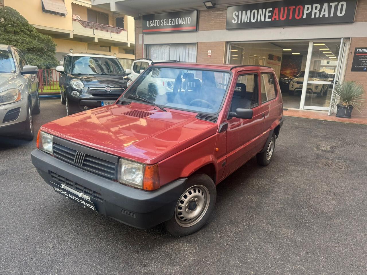 Fiat Panda 900 i.e. cat Young