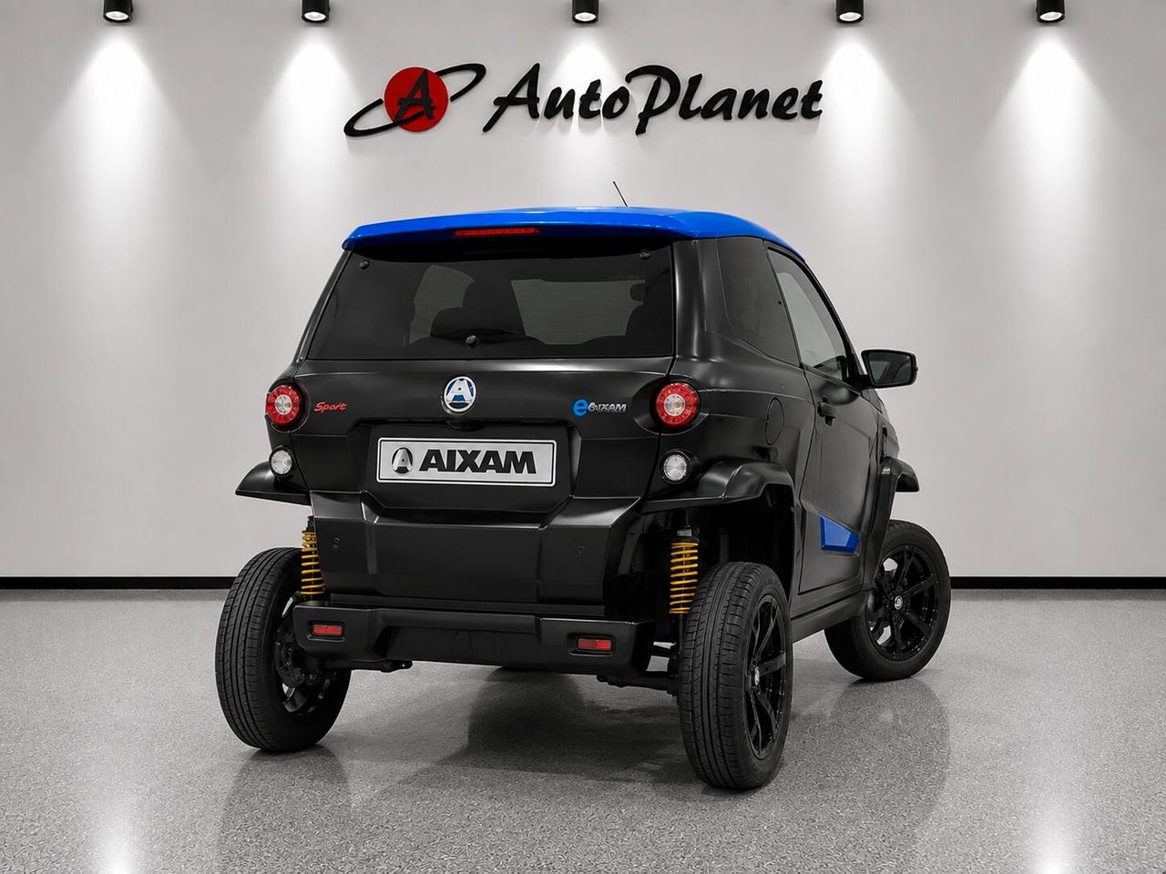Aixam E-Minauto Access