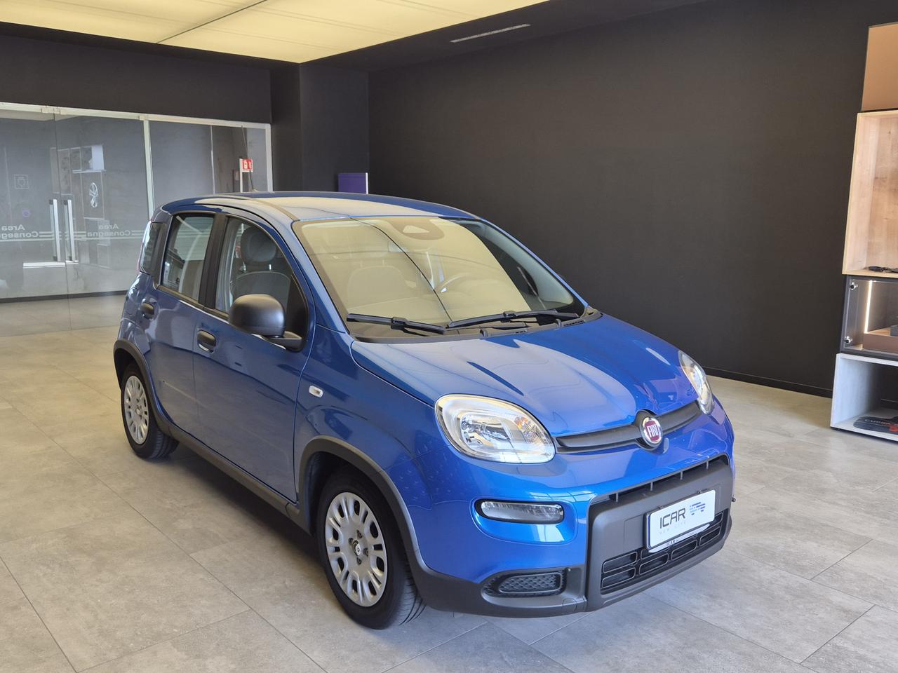 FIAT Panda III - Pandina 1.0 firefly hybrid s&s 70cv