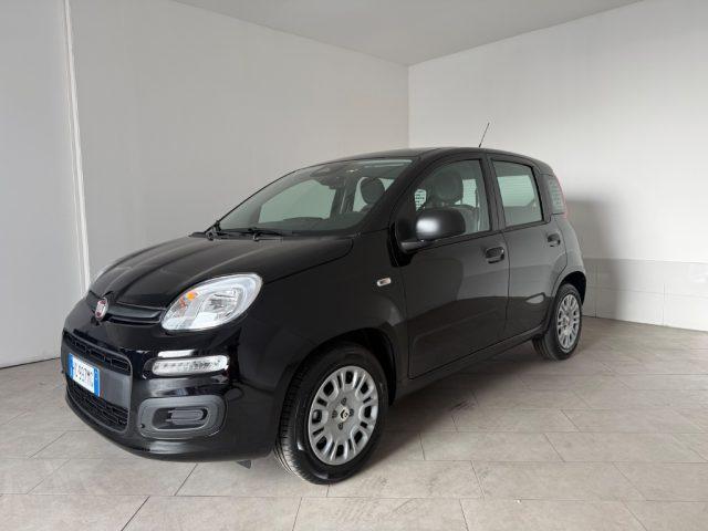 FIAT Pandina 1.0 FireFly 65 CV Hybrid Icon