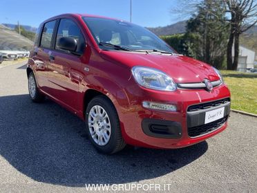 FIAT Pandina PANDA MY26 1.0 65CV HYBRID ICON