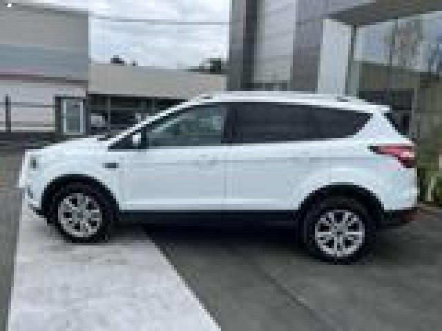 FORD Kuga 1.5 TDCI 120 CV S&S 2WD Powershift Business