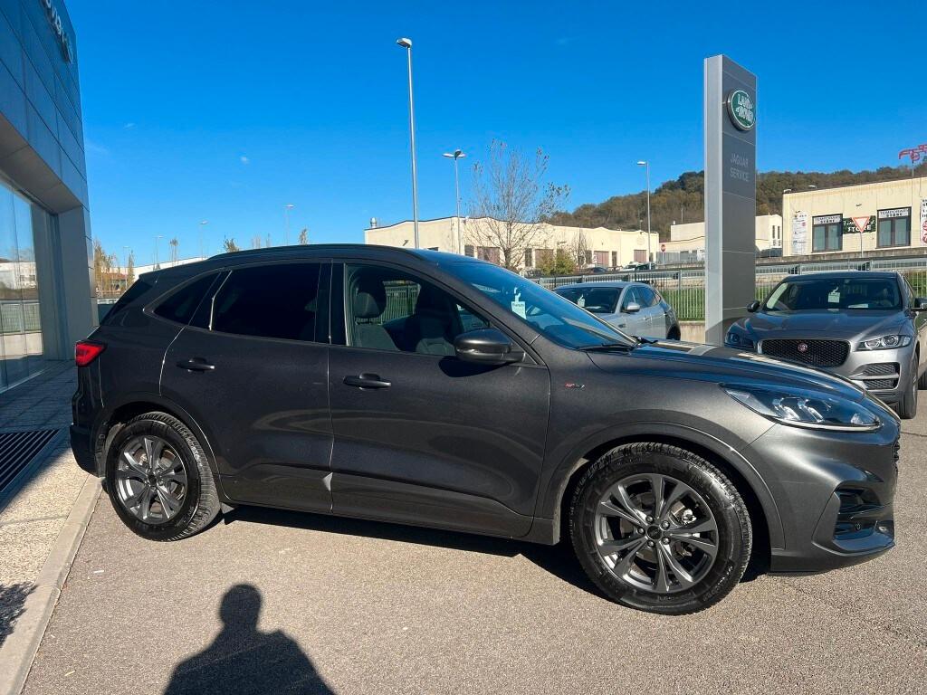 FORD Kuga 3ª serie Kuga 1.5 EcoBlue 120 CV 2WD...