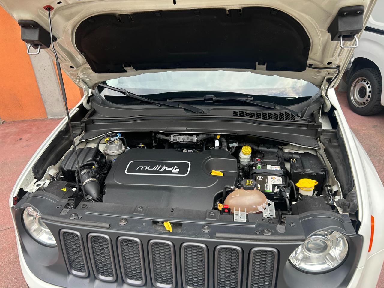 Jeep Renegade 2.0 mjt Trailhawk 4wd 170cv auto