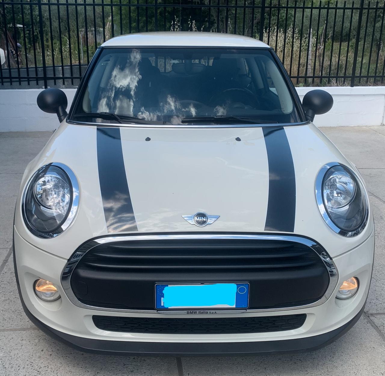 Mini 1.5 One D