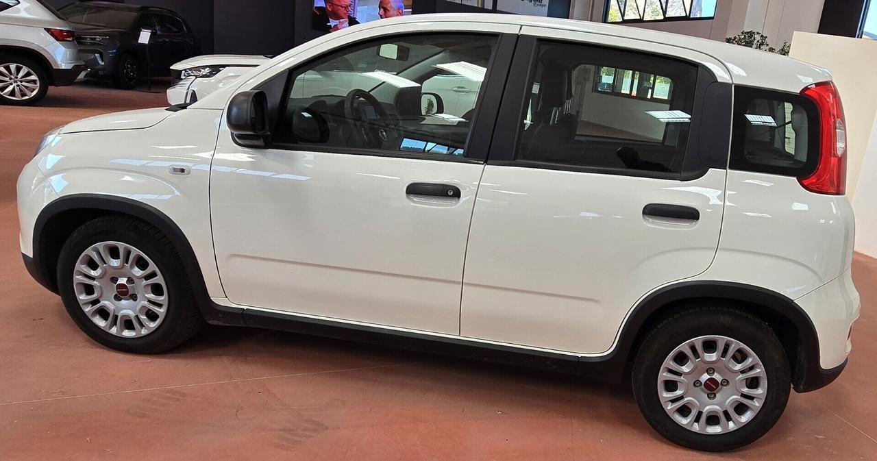 Fiat Panda 1.0 FireFly Hybrid 70 CV – La City Car Pratica e Tecnologica