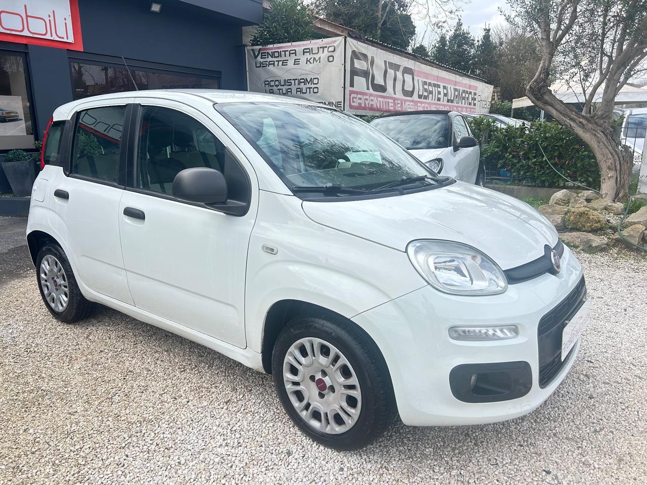 Fiat Panda 1.2 NEOPATENTATI