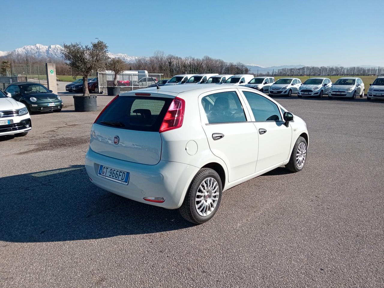 Fiat Punto 1.2 Street 5 porte OK NEOPATENTATI