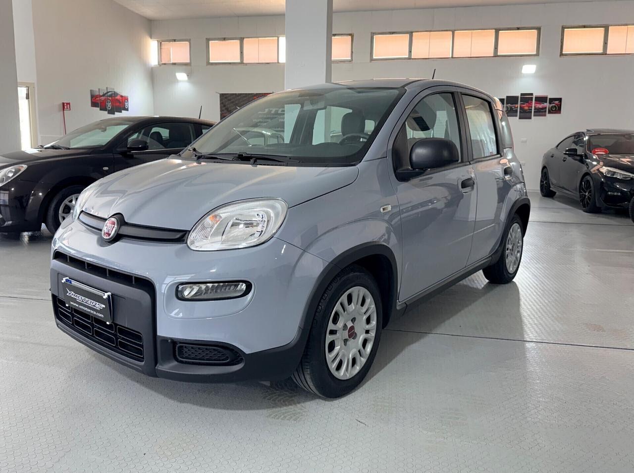 Fiat Panda 1.0 FireFly Aziendale Hybrid 70 cv