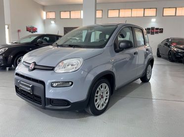 Fiat Panda 1.0 FireFly Aziendale Hybrid 70 cv