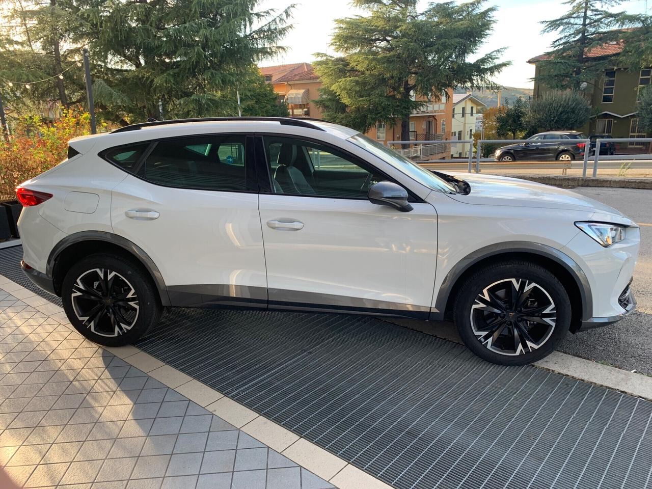 Cupra Formentor 2.0 TDI 4Drive DSG