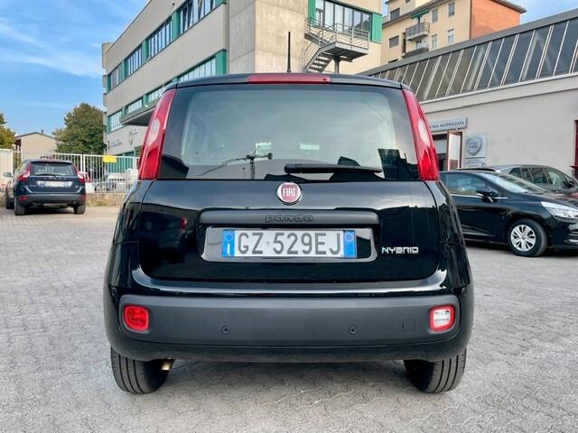 Fiat Panda 1.0 FireFly S&S Hybrid Pandina Tech Km 13.000 PREZZO VERO!!!!