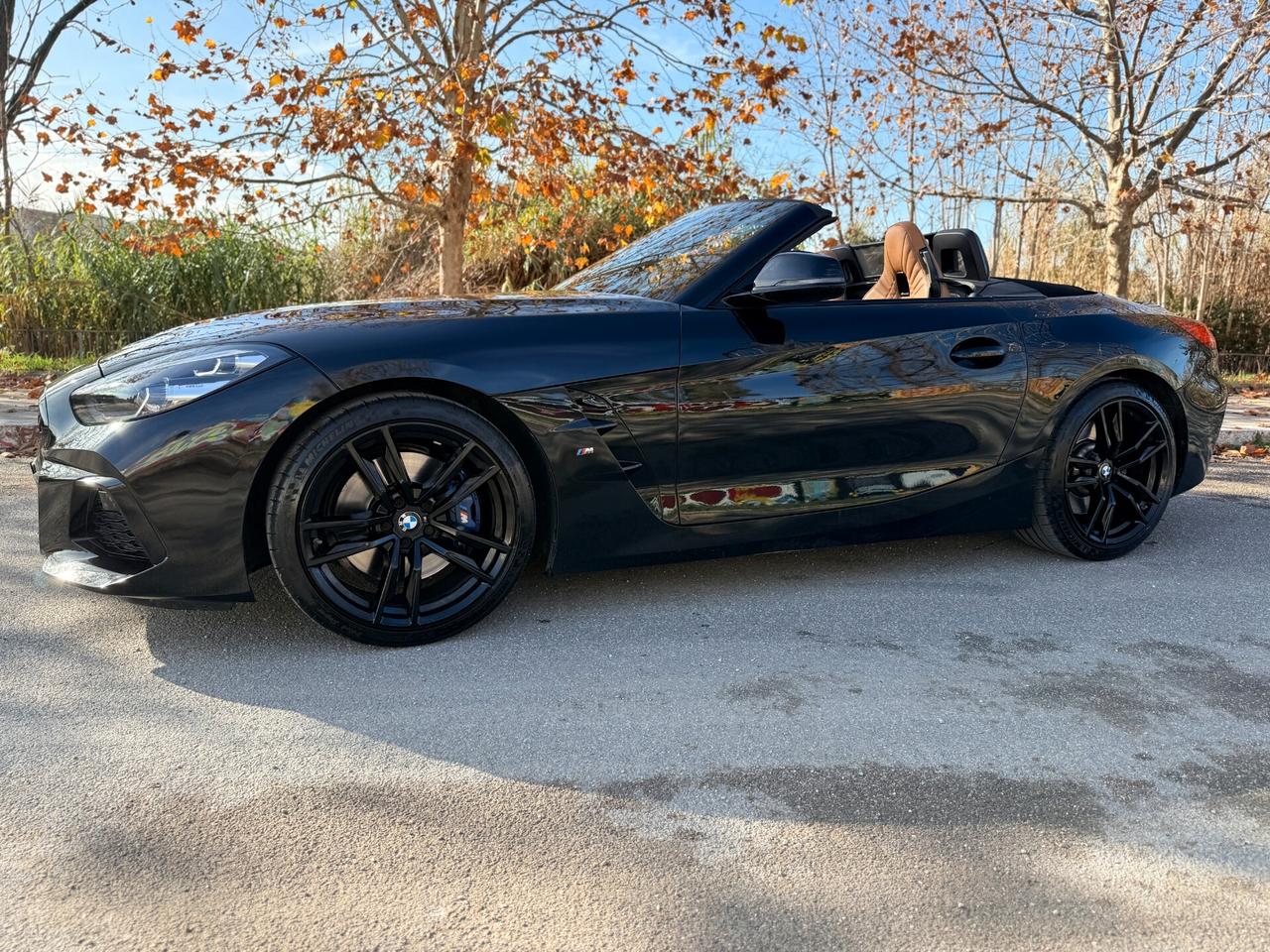 Bmw Z4 30i 258cv Msport Tagliandi BMW