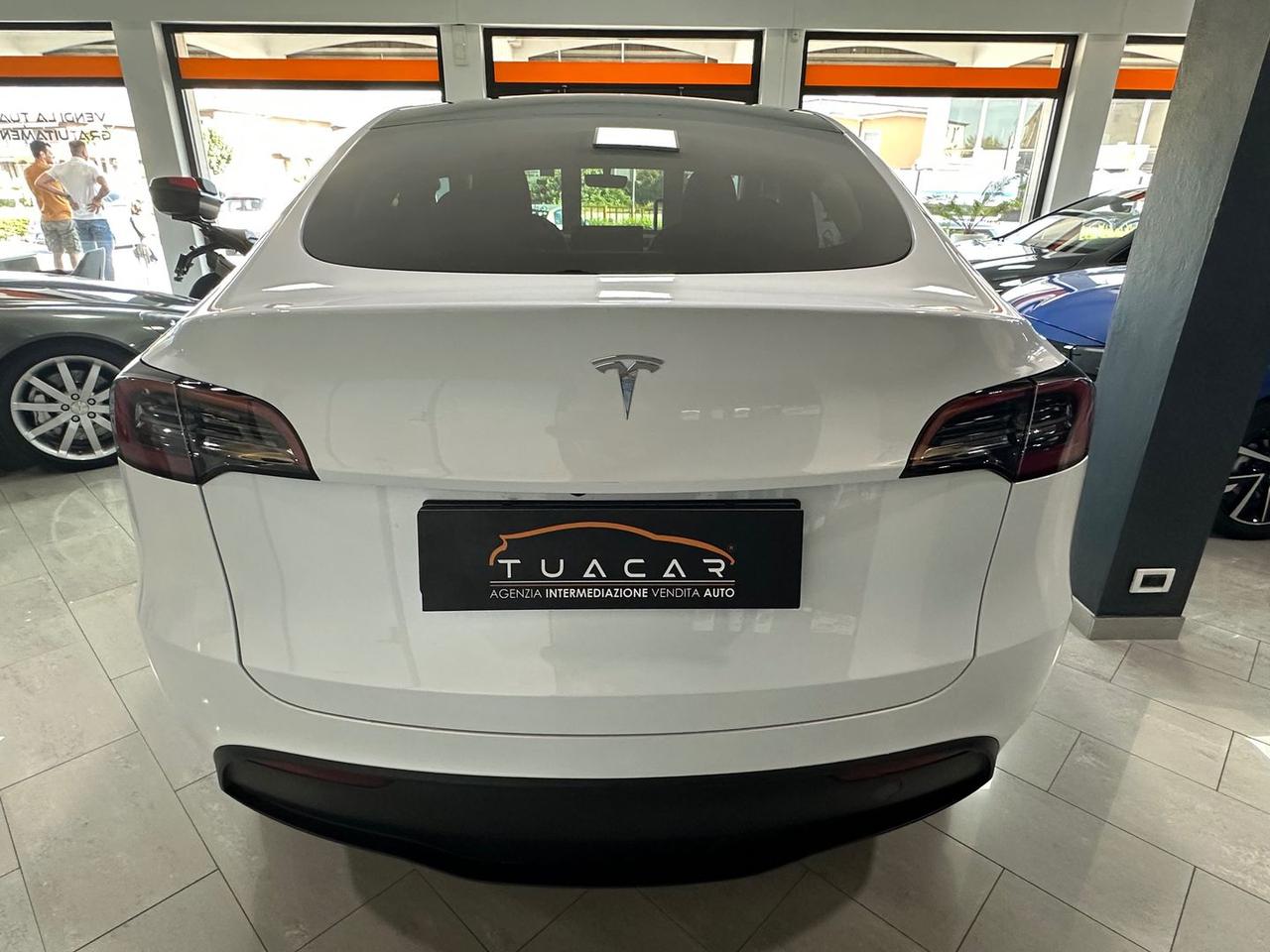 Tesla Model Y Standard Range RWD single moto #6584