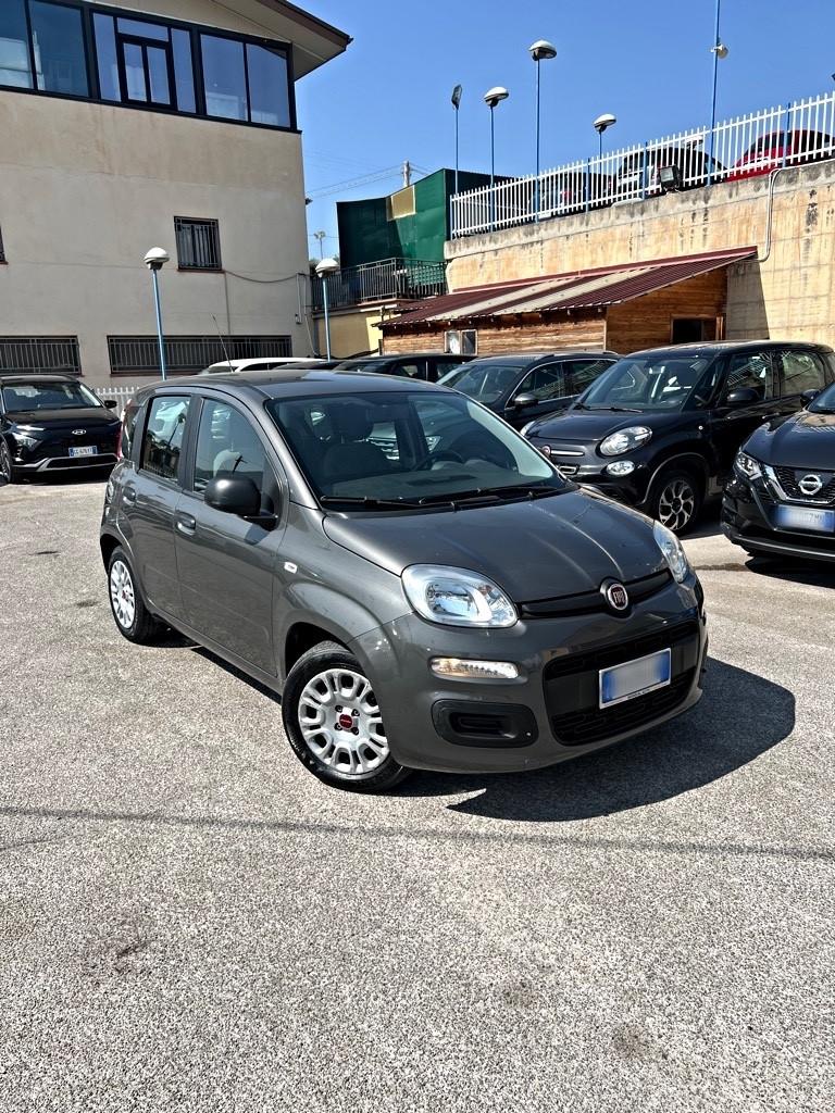 Fiat Panda 1.0 FireFly 70cv km 39.000 2021