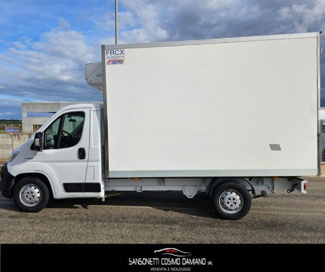 FIAT Ducato 35 2.3 MJT 130CV PL Cabinato Maxi FRIGO FRCX -20°