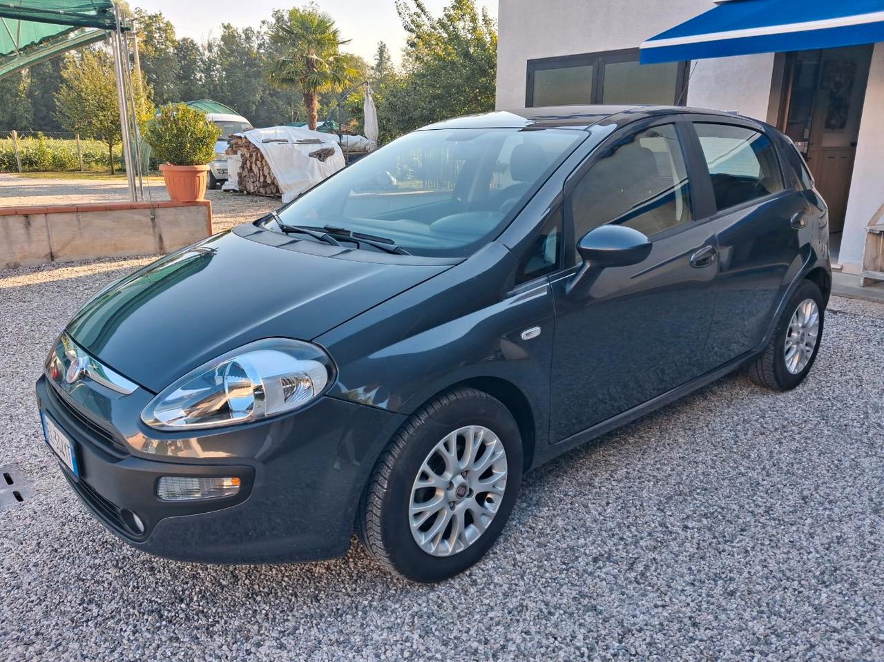 Fiat Punto Evo 5 Porte 5p 1.2 Blue&Me s&s