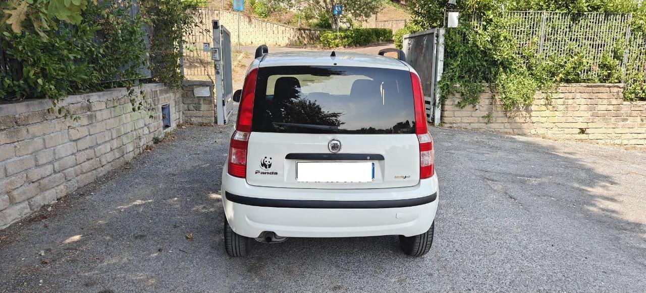 FIAT Panda 1.3 mjt 16v FRIZIONE NUOVA !