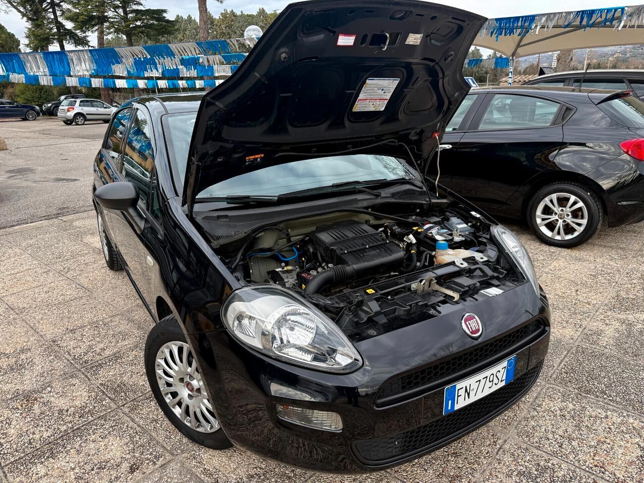 " INTROVABILE " Fiat Punto 1.4 8V 5 porte GPL