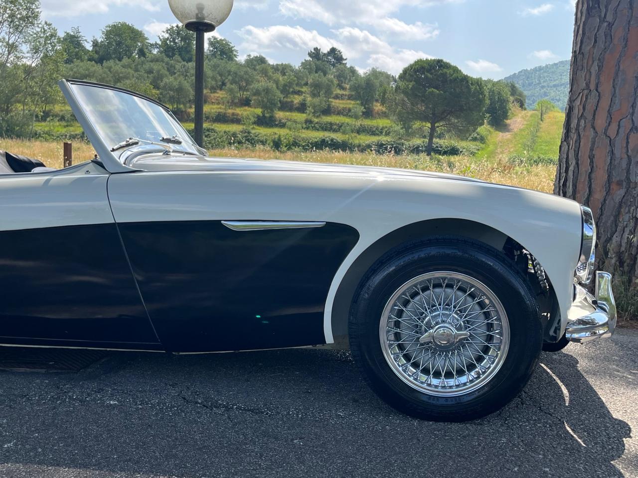 Austin Healey 100/6 BN4 2700 ASI
