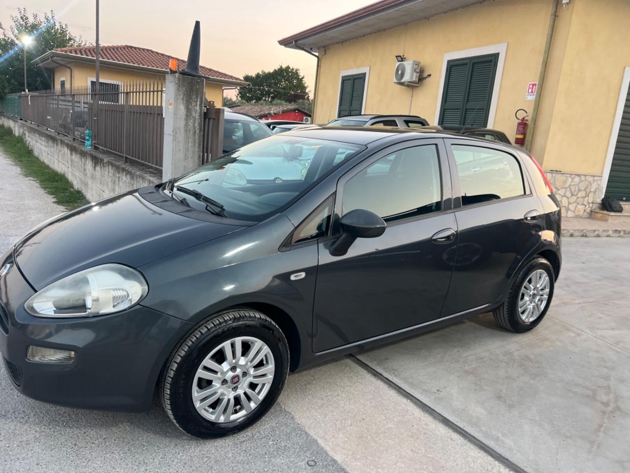 Fiat Punto 1.2 8V 5 porte Street unico proprietario garantita