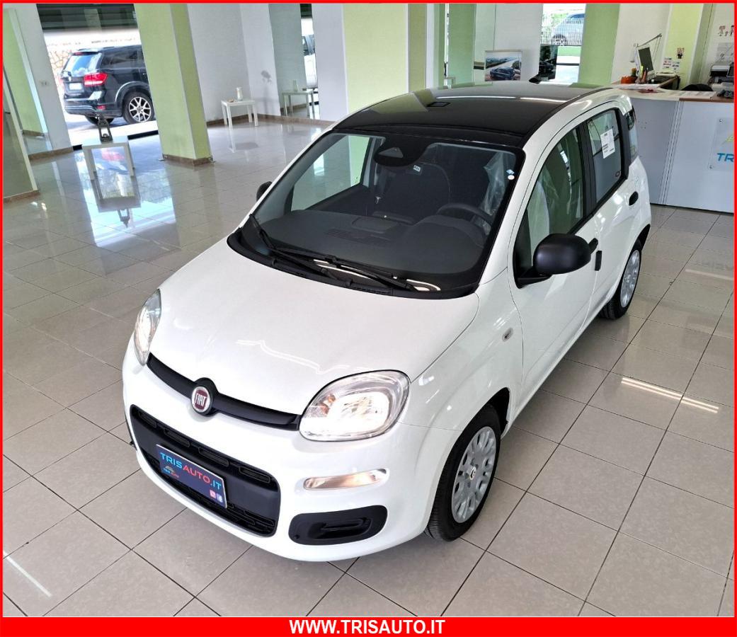 FIAT Panda 1.0 FireFly S&S Hybrid 5p.ti NEOPATENTATI