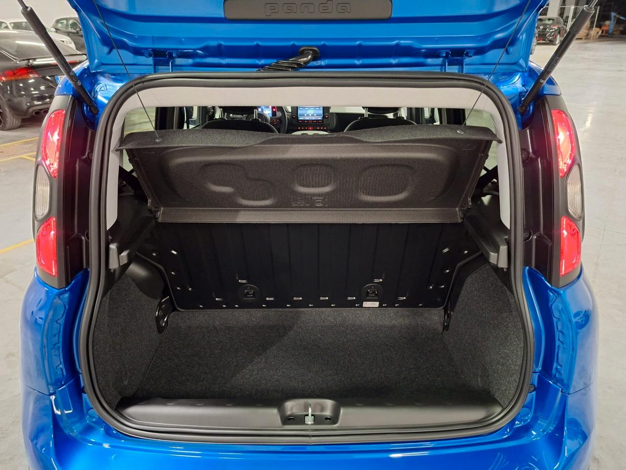 Fiat Panda 1.0 FireFly Hybrid Pandina Km.0