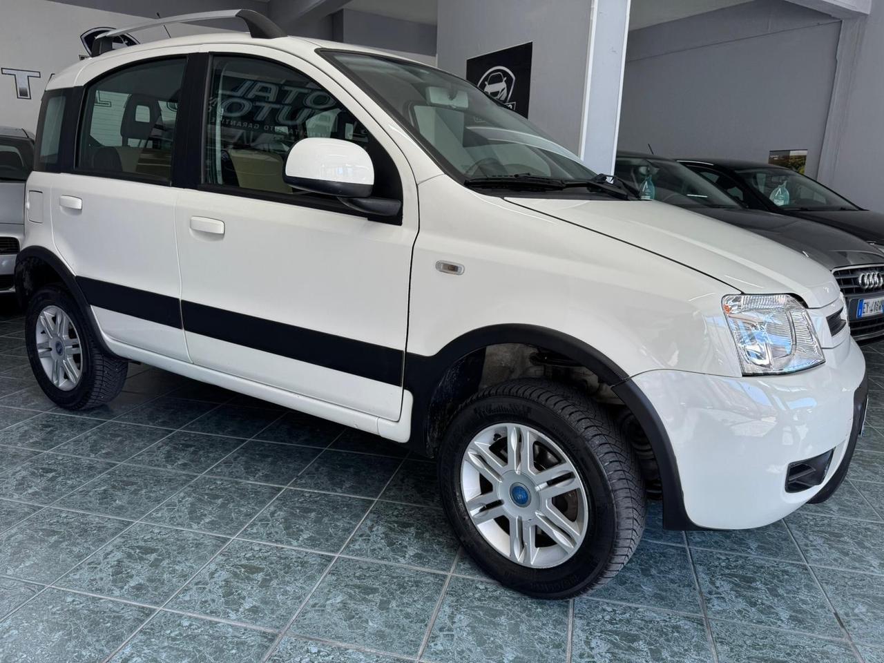 Fiat Panda 1.3 MJT 16V DPF 4x4 Climbing