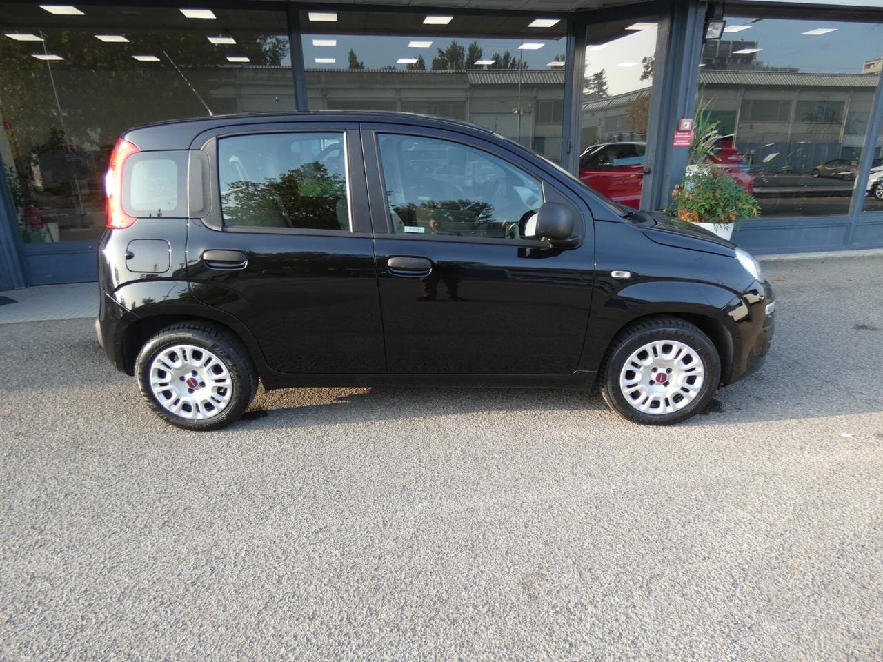 FIAT Panda 3ª serie Panda 1.2 Easy