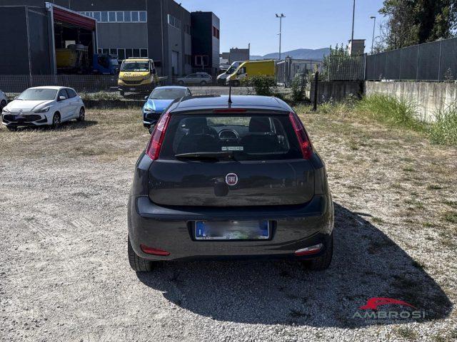 FIAT Punto 1.2 8V 5 porte Street - PER OPERATORI DEL SETTORE