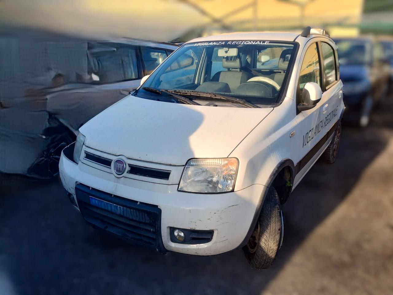 Fiat Panda 1.3 MJT 16V DPF 4x4 Climbing