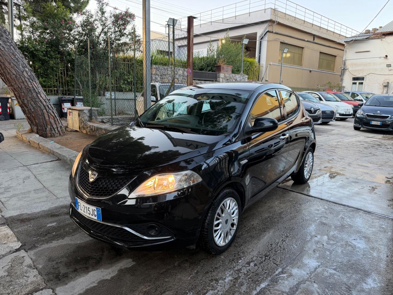 Lancia Ypsilon 1.3 MJT 16V 95 CV 5 porte S&S Gold