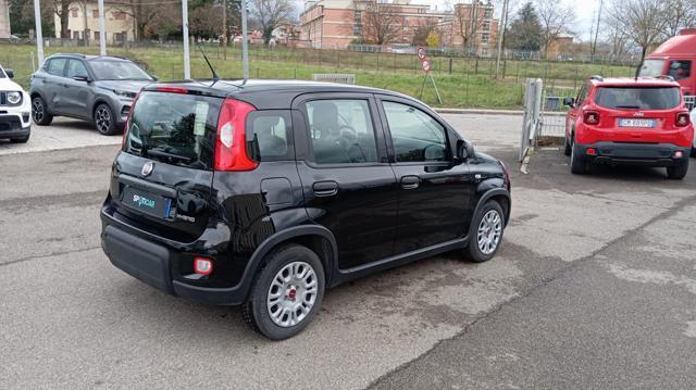 FIAT Panda *PROMO* 1.0 FireFly S&S Hybrid