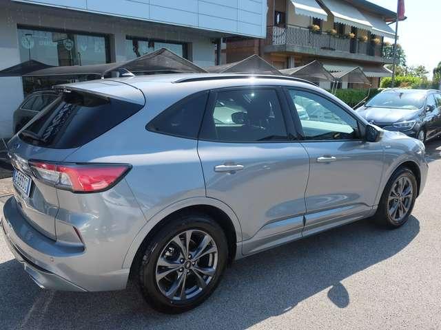 Ford Kuga Kuga 1.5 ecoblue ST-Line X 2wd 120cv auto