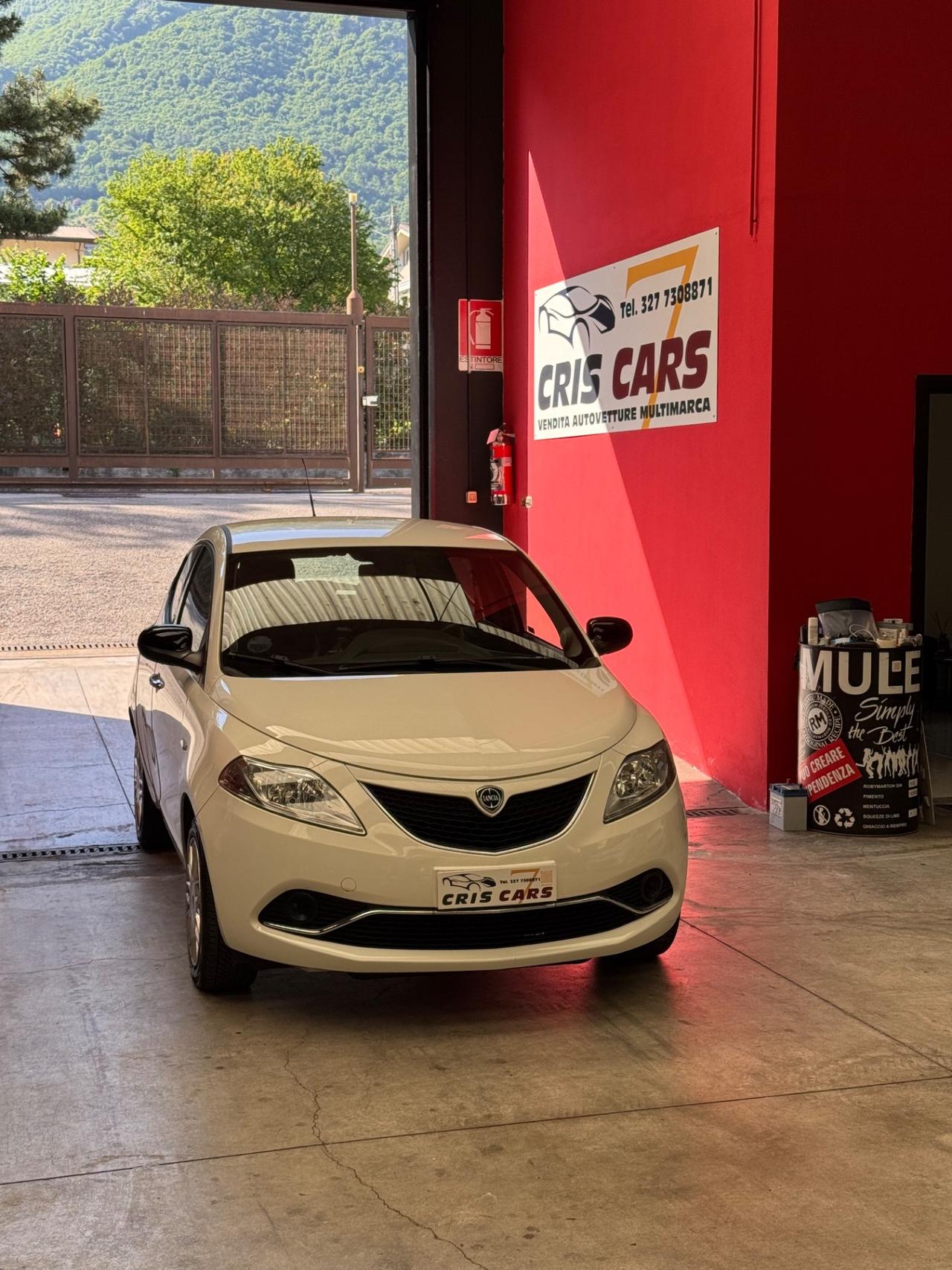 Lancia Ypsilon 1.2 69 CV 5 porte Platinum