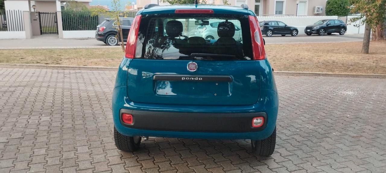 Fiat Panda Lounge 1.2 Fire 02/12 km 56.271