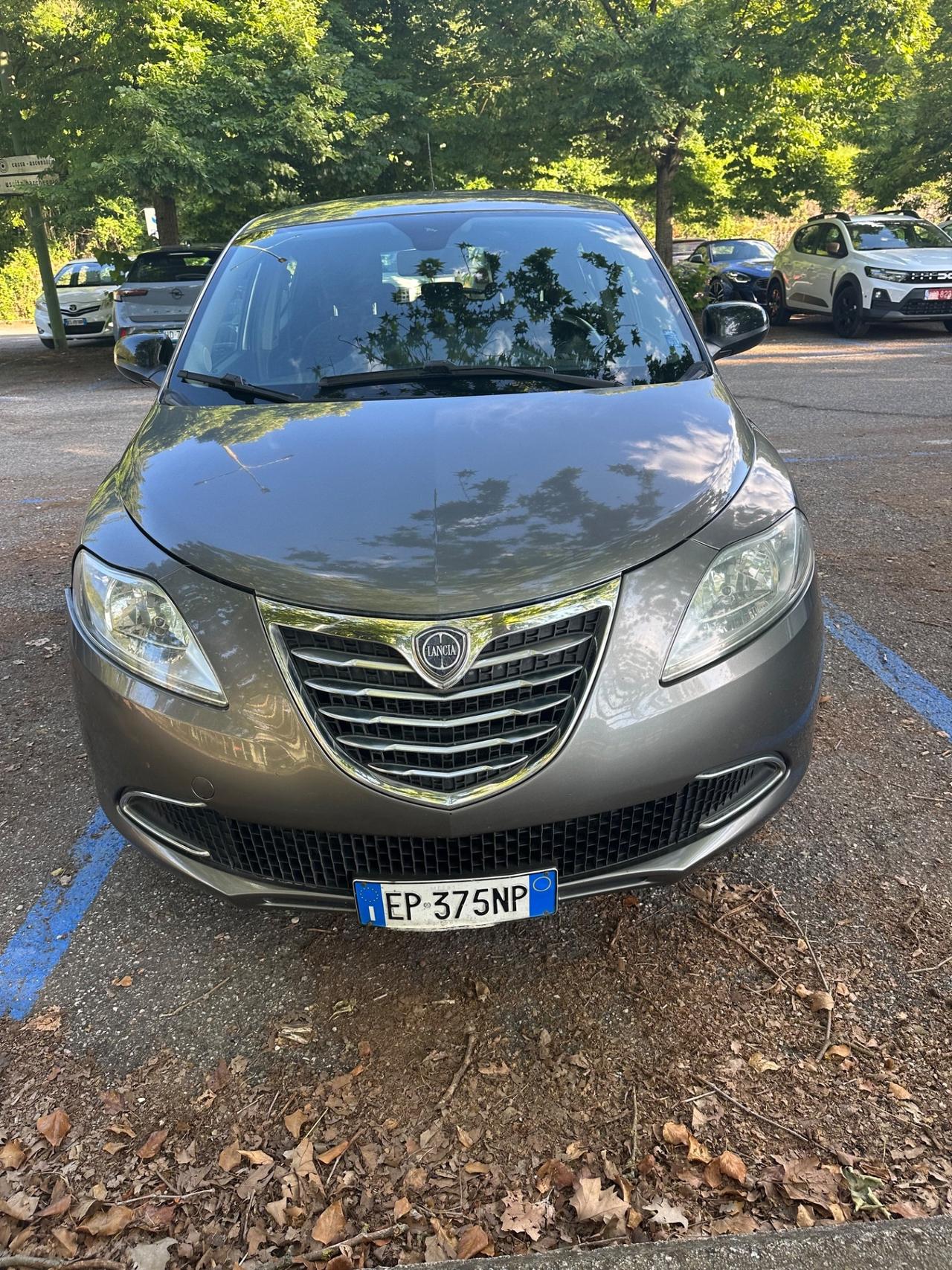 Lancia Ypsilon 1.3 MJT 16V 95 CV 5 porte S&S Platinum